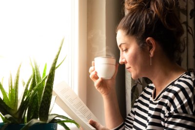 5 soorten planten die iedere woning verfraaien