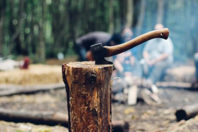 Ga je een boom omzagen in de tuin? Hier zijn 4 tips!